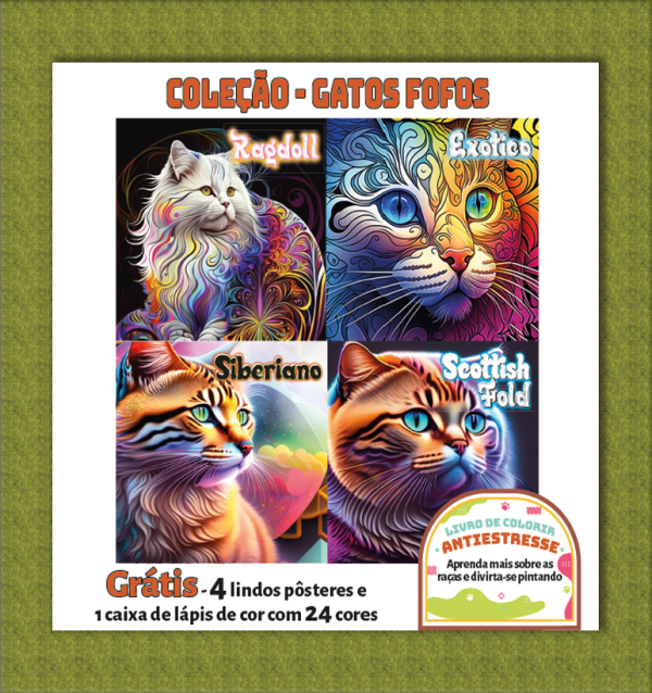 Livro Para Colorir Meu Pet - Gatos